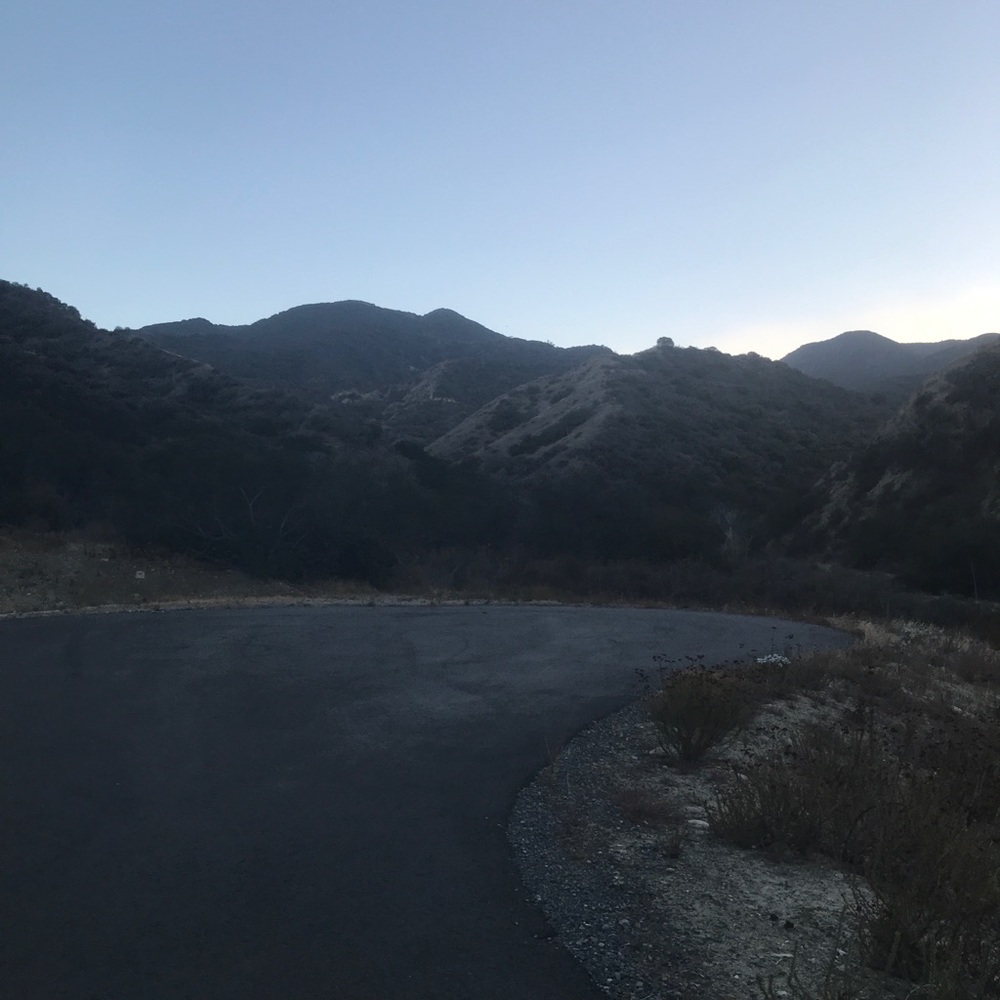 Meet your Posher, Connie